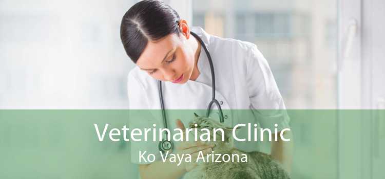 Veterinarian Clinic Ko Vaya Arizona