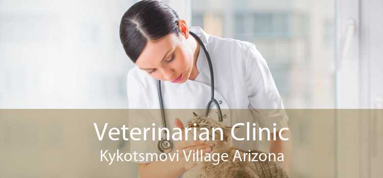 Veterinarian Clinic Kykotsmovi Village Arizona