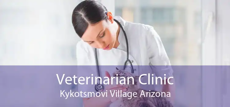 Veterinarian Clinic Kykotsmovi Village Arizona