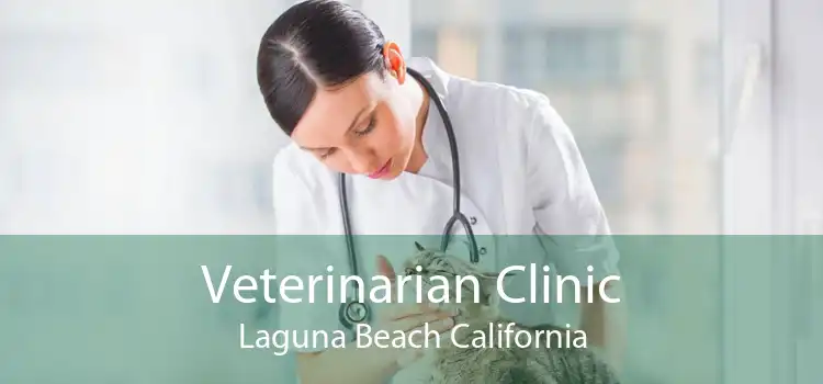 Veterinarian Clinic Laguna Beach California