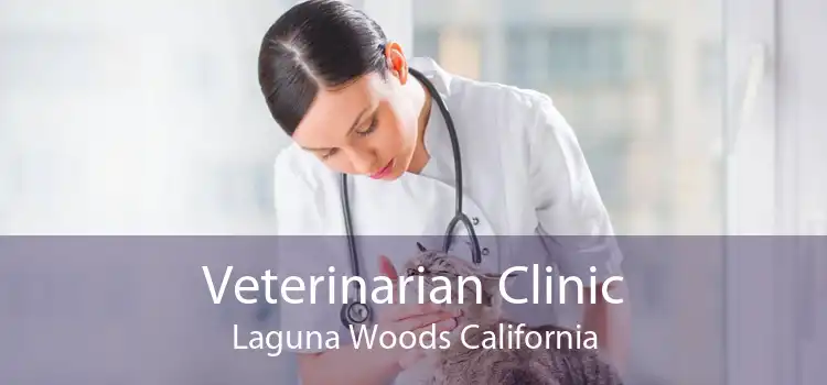 Veterinarian Clinic Laguna Woods California