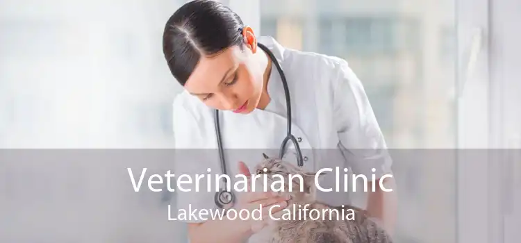 Veterinarian Clinic Lakewood California