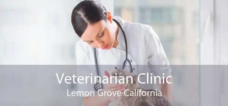 Veterinarian Clinic Lemon Grove California