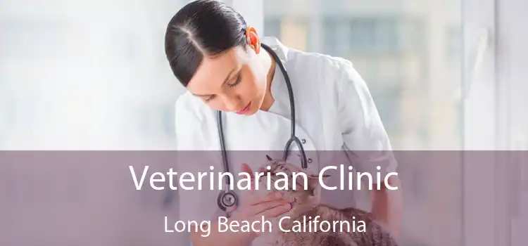 Veterinarian Clinic Long Beach California
