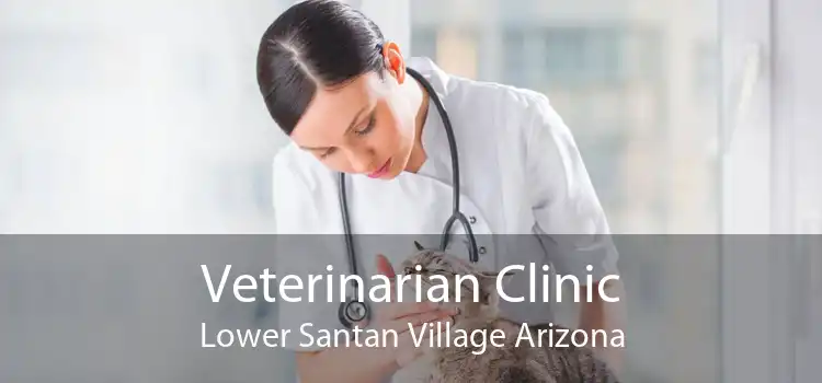 Veterinarian Clinic Lower Santan Village Arizona