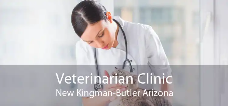 Veterinarian Clinic New Kingman-Butler Arizona