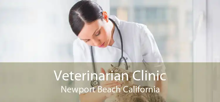Veterinarian Clinic Newport Beach California
