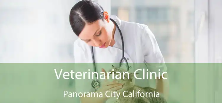 Veterinarian Clinic Panorama City California