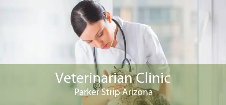 Veterinarian Clinic Parker Strip Arizona