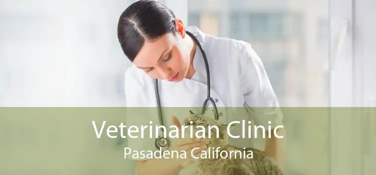 Veterinarian Clinic Pasadena California