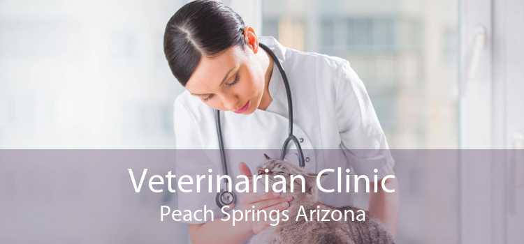 Veterinarian Clinic Peach Springs Arizona