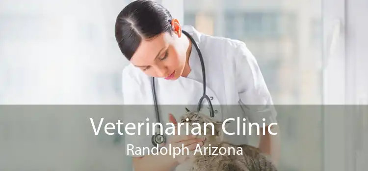 Veterinarian Clinic Randolph Arizona