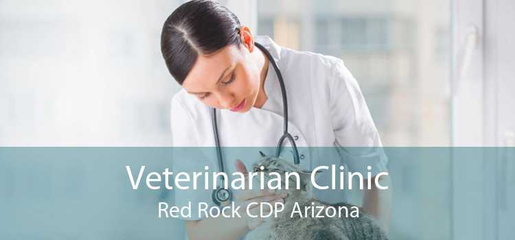 Veterinarian Clinic Red Rock CDP Arizona