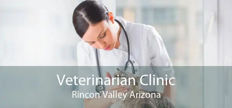 Veterinarian Clinic Rincon Valley Arizona
