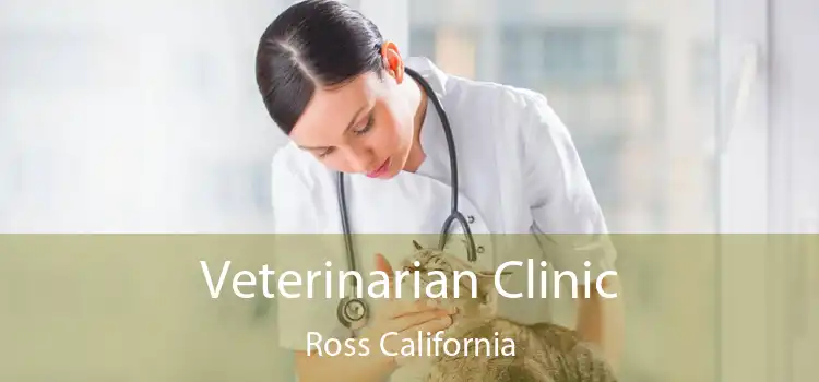 Veterinarian Clinic Ross California