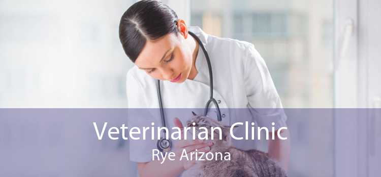 Veterinarian Clinic Rye Arizona