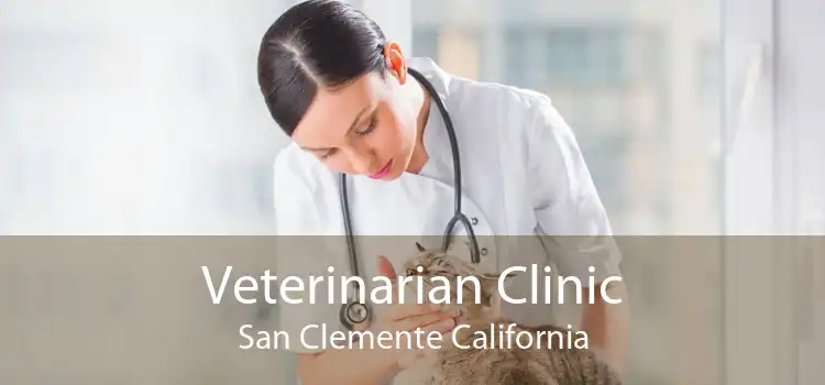 Veterinarian Clinic San Clemente California