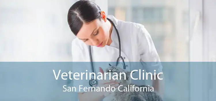 Veterinarian Clinic San Fernando California