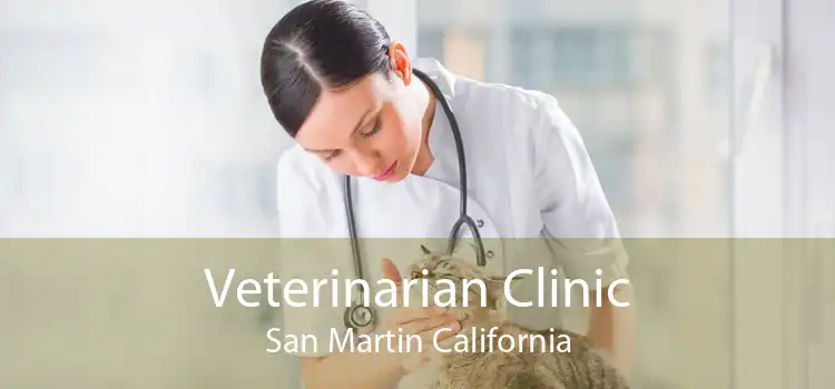 Veterinarian Clinic San Martin California