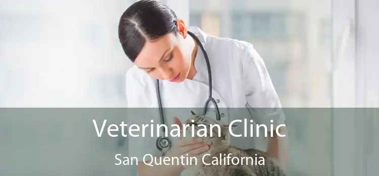 Veterinarian Clinic San Quentin California