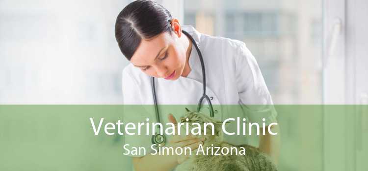 Veterinarian Clinic San Simon Arizona