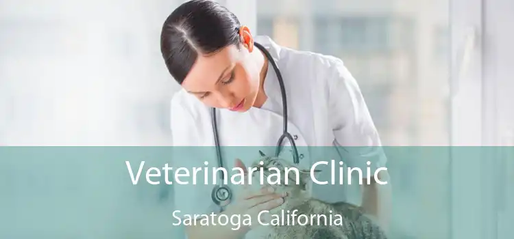 Veterinarian Clinic Saratoga California