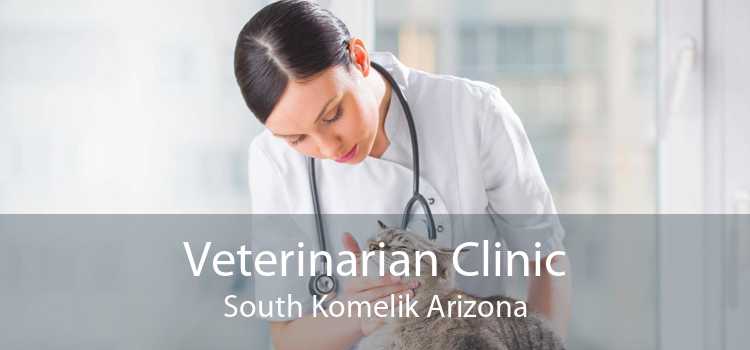 Veterinarian Clinic South Komelik Arizona