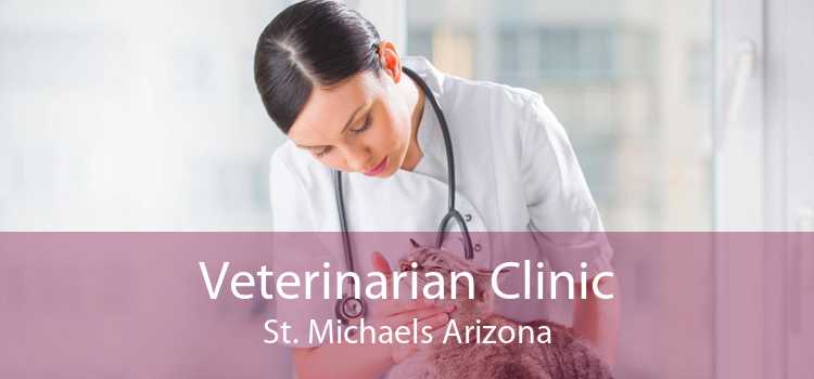 Veterinarian Clinic St. Michaels Arizona