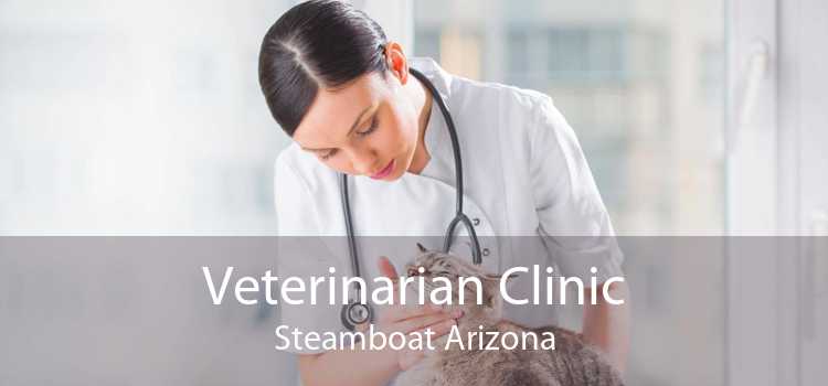 Veterinarian Clinic Steamboat Arizona