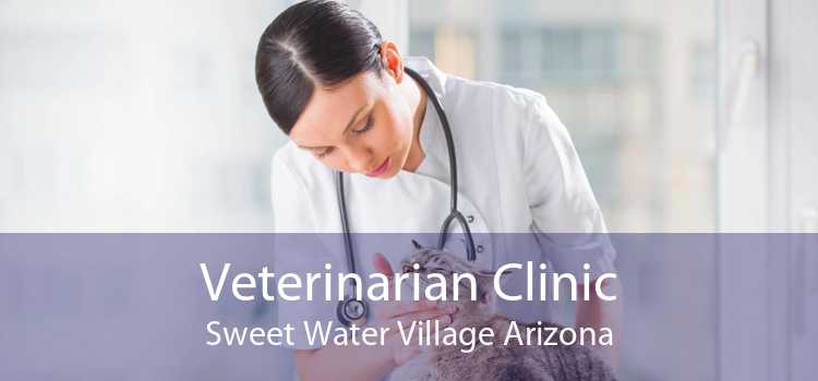 Veterinarian Clinic Sweet Water Village Arizona