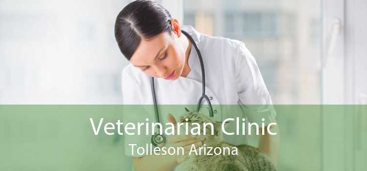 Veterinarian Clinic Tolleson Arizona