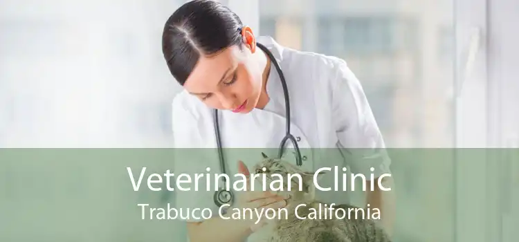 Veterinarian Clinic Trabuco Canyon California