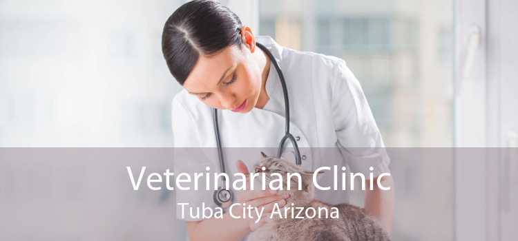 Veterinarian Clinic Tuba City Arizona