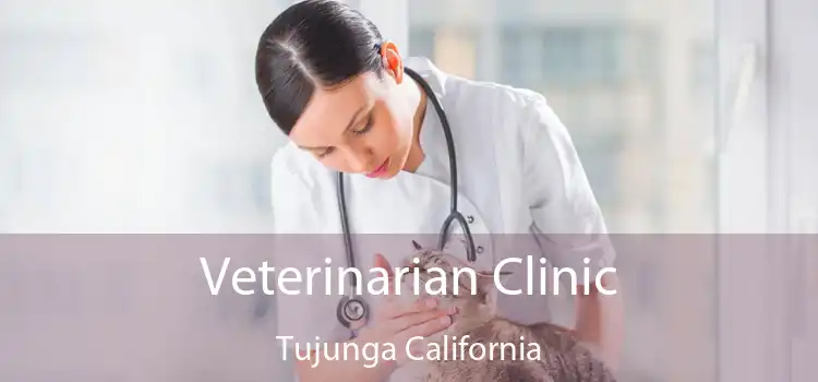 Veterinarian Clinic Tujunga California