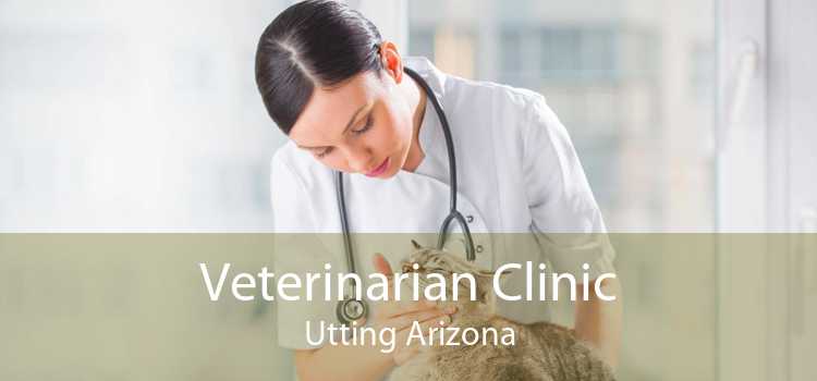 Veterinarian Clinic Utting Arizona