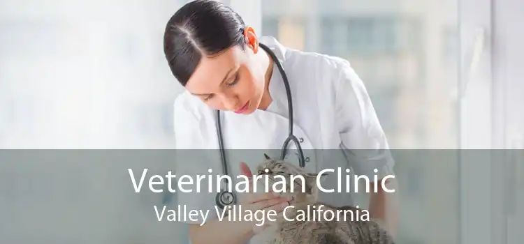 Veterinarian Clinic Valley Village California