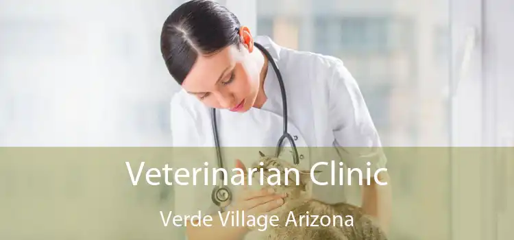 Veterinarian Clinic Verde Village Arizona