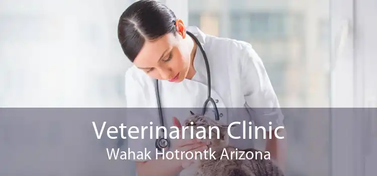 Veterinarian Clinic Wahak Hotrontk Arizona