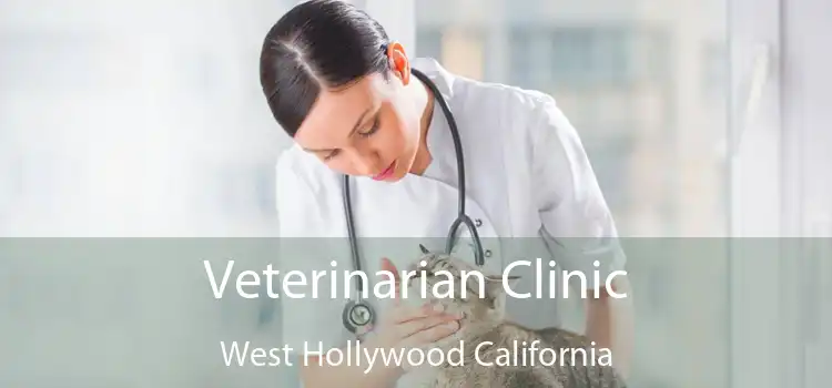 Veterinarian Clinic West Hollywood California