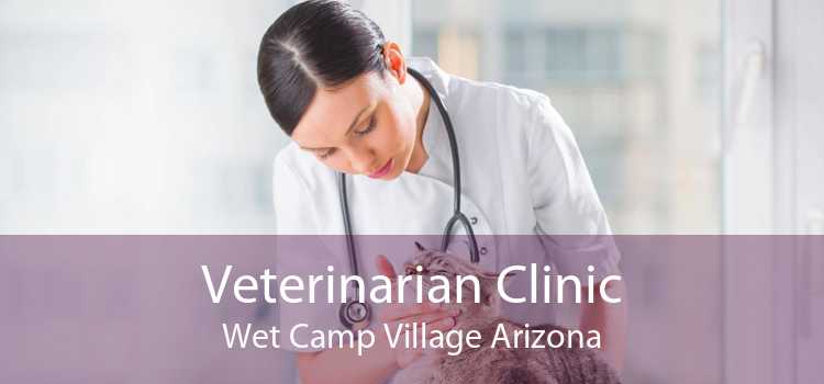 Veterinarian Clinic Wet Camp Village Arizona