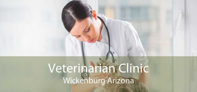 Veterinarian Clinic Wickenburg Arizona
