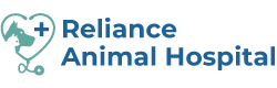 best pet vet specialist in Gila Bend